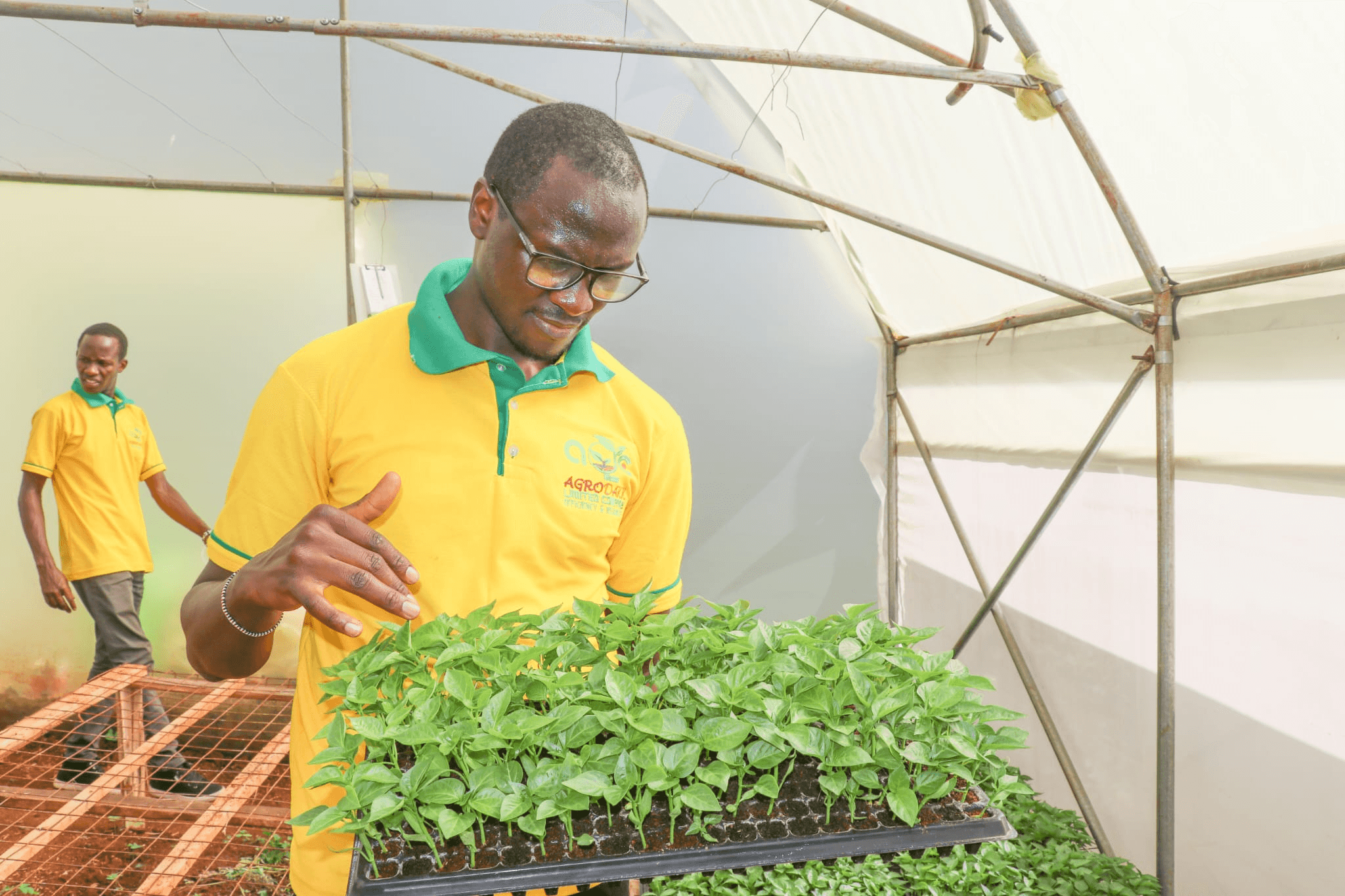 Building Resilient Farmer Cooperatives in Kenya